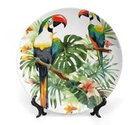 KMRHOUTIQ 6 in Bone China Decorative Plates for Wall Hanging with Display Stand Chinese Porcelain Toucans Parrot Dessert Plate Display Dish Collections Ceramic Ornament Art Craft Home Office Decor