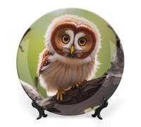 KMRHOUTIQ 8 in Bone China Decorative Plates for Wall Hanging with Display Stand Chinese Porcelain Real Cute Owls Dessert Plate Display Dish Collections Ceramic Ornament Art Craft Home Office Decor