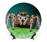 KMRHOUTIQ 8inch Bone China Decorative Plates for Wall Hanging with Display Stand Chinese Porcelain Wildlife Spider Dessert Plate Display Dish Collections Ceramic Ornament Art Craft Home Office Decor