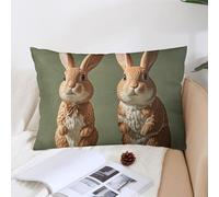 KMRHOUTIQ Decorative Bunny Statue Lumbar Throw Pillow Covers 12x20 with Hidden Zipper Outdoor Couch Pillow Cases for Sofa Bed Living Room Garden Plush Pillowcase Farmhouse Cushion Case Home Decor