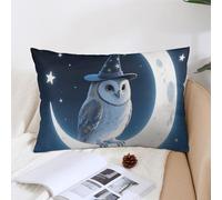 KMRHOUTIQ Decorative Magic - Hat Owl Lumbar Throw Pillow Covers 12x20 with Hidden Zipper Outdoor Couch Pillow Cases for Sofa Bed Living Room Garden Plush Pillowcase Farmhouse Cushion Case Home Decor