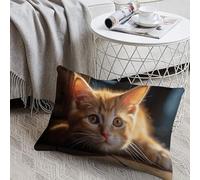 KMRHOUTIQ Decorative Small Orange Cat Lumbar Throw Pillow Covers 8x12 with Hidden Zipper Outdoor Couch Pillow Cases for Sofa Bed Living Room Garden Plush Pillowcase Farmhouse Cushion Case Home Decor