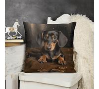 KMRHOUTIQ Decorative Throw Pillow Cover 12x12 Cute Dachshund Outdoor Pillow Covers Plush Cushion Cover for Sofa Bed Couch Living Room Boho Farmhouse Pillows Protector with Hidden Zipper
