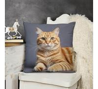 KMRHOUTIQ Decorative Throw Pillow Cover 18x18 Cat Outdoor Pillow Covers Plush Cushion Cover for Sofa Bed Couch Living Room Boho Farmhouse Pillows Protector with Hidden Zipper