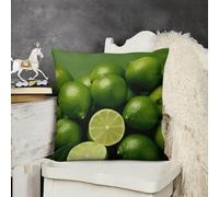 KMRHOUTIQ Decorative Throw Pillow Cover 18x18 Fresh Green Lime Outdoor Pillow Covers Plush Cushion Cover for Sofa Bed Couch Living Room Boho Farmhouse Pillows Protector with Hidden Zipper