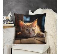 KMRHOUTIQ Decorative Throw Pillow Cover 20x20 Small Orange Cat Outdoor Pillow Covers Plush Cushion Cover for Sofa Bed Couch Living Room Boho Farmhouse Pillows Protector with Hidden Zipper
