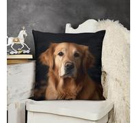 KMRHOUTIQ Decorative Throw Pillow Cover 24x24 Golden Retriever Outdoor Pillow Covers Plush Cushion Cover for Sofa Bed Couch Living Room Boho Farmhouse Pillows Protector with Hidden Zipper