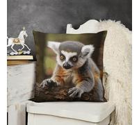 KMRHOUTIQ Decorative Throw Pillow Cover 24x24 Monkey Lemur Cute Outdoor Pillow Covers Plush Cushion Cover for Sofa Bed Couch Living Room Boho Farmhouse Pillows Protector with Hidden Zipper