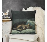 KMRHOUTIQ Decorative Throw Pillow Cover 26x26 Cat Lying Outdoor Pillow Covers Plush Cushion Cover for Sofa Bed Couch Living Room Boho Farmhouse Pillows Protector with Hidden Zipper