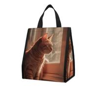 KMRHOUTIQ Insulated Cat Sitting on Windowsill Lunch Bag for Women Men 9l Leakproof Cooler Bag with Pocket Reusable Lunch Tote Snack Foldable Thermal Tote for Work Picnic Travel Beach Gym Adults