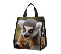 KMRHOUTIQ Insulated Cute Lemur Lunch Bag for Women Men 9l Leakproof Cooler Bag with Pocket Reusable Lunch Tote Snack Foldable Thermal Tote for Work Picnic Travel Beach Gym Adults