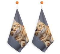 KMRHOUTIQ Kitchen Cat Hand Towels with Hanging Loops, Highly Absorbent & Quick Drying Towels for Kitchen Bathroom, Microfiber Cleaning Cloth, Dish Towel, Tea Towel Decorative, Dish Rag(12x12)