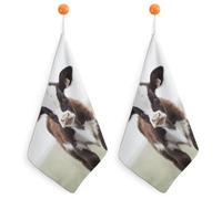 KMRHOUTIQ Kitchen Cow Hand Towels with Hanging Loops, Highly Absorbent & Quick Drying Towels for Kitchen Bathroom, Microfiber Cleaning Cloth, Dish Towel, Tea Towel Decorative, Dish Rag(12x12)