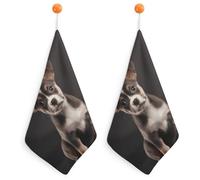 KMRHOUTIQ Kitchen Cute Dog Hand Towels with Hanging Loops, Highly Absorbent & Quick Drying Towels for Kitchen Bathroom, Microfiber Cleaning Cloth, Dish Towel, Tea Towel Decorative, Dish Rag(12x12)