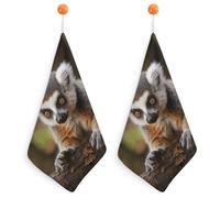 KMRHOUTIQ Kitchen Cute Lemur Hand Towels with Hanging Loops, Highly Absorbent & Quick Drying Towels for Kitchen Bathroom, Microfiber Cleaning Cloth, Dish Towel, Tea Towel Decorative, Dish Rag(12x12)
