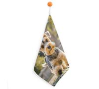 KMRHOUTIQ Kitchen Happy Puppy Hand Towels with Hanging Loops, Highly Absorbent & Quick Drying Towels for Kitchen Bathroom, Microfiber Cleaning Cloth, Dish Towel, Tea Towel Decorative, Dish Rag(12x12)