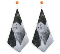KMRHOUTIQ Kitchen Snow Owl Hand Towels with Hanging Loops, Highly Absorbent & Quick Drying Towels for Kitchen Bathroom, Microfiber Cleaning Cloth, Dish Towel, Tea Towel Decorative, Dish Rag(12x12)