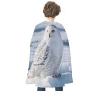 KMRHOUTIQ Reversible Halloween Cloak Snowy Owl Ice Cape with Hook & Loop | Medieval Renaissance Poncho, Dress up Costume, Blue Red Robe, Adjustable Collar, Flowing Drape, Wizard Witch Vampire Cosplay