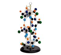 KMXNSJZS Model Teaching Model Protein Secondary Structure Model Removerable Biology Teaching Models Scientific Experiment Teaching Aids For Teaching