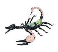 KMXNSJZS Model Teaching Model Scorpion Internal Organs Anatomy Model Realistic Puzzle Assembly Model Arthropod Biology Teaching Models For Teaching