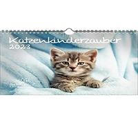KN2023-4W-0008-D-0 Cat Children's Magic DIN A4 Calendar for 2023 Cat Children Cat Babies Soul Magic Multi-Coloured