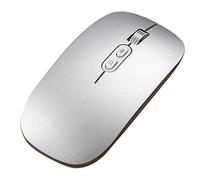 Knadgbft 2.4G Wireless Mouse Rechargeable Silent Ultra-Thin USB Optical Mouse 1600 DPI Portable USB Computer Mice(Silver)