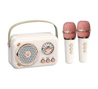 Knadgbft Portable Mini with Microphone Set, Vintage Bluetooth Speaker with Home (White)