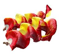 KNBHGUJMD Belly Dance Fans, Belly Dance Silk Fan Multicolor Multiple Sizes 2 Pcs(16,180cm-90cm)