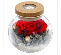 KNDSGOEWG Colorful glowing eternal flower roses Christmas Valentine's Day confession gift wish glass bottle