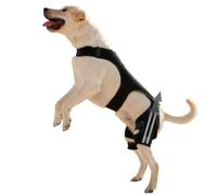Knee Brace for Dogs Adjustable Joint Wrap