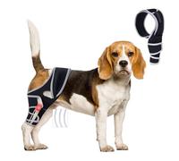 Knee Brace for Dogs with Torn ACL, Adjustable Dog Leg Braces Rear Leg or Front Legs with Cruciate Ligament Injuries, Warm Joint Pain Relief CCL Brace for Pets Knee Support Universal Four Legs, M