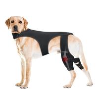 Knee Brace Harness for Dogs, Dog Knee Brace for Torn ACL Hind Leg Hinged Knee Support Harness Dog Hip and Joint Immediate Pain Relief & Improve Mobility 4 Limb Wear Adjustable (M)