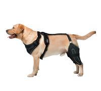 Knee Brace Harness for Dogs, Wagwize Dog Knee Brace Dual-Leg Hinged Knee Support Harness Dog Hip and Joint Immediate Pain Relief & Improve Mobility 4 Limb Wear Adjustable (Black + leash,XL)