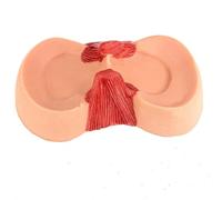 Knee Joint Meniscus Repair Model, 1:1 Ligaments Knee Joint Medical Model, Human Functional Knee Joint Model, for Classroom Education Display.