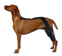 Knee Support Brace for Dogs | Dog Knee Support Brace, Core Core Core Support, Adjustable Cross Ligamism Traction Belt for Ligam Injuries