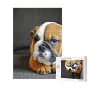 Kneeling English Bulldog,300 Pieces Wooden Jigsaw Family Game Jigsaw Puzzles for Adults Teens