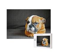 Kneeling English Bulldog,300 Pieces Wooden Jigsaw Family Game Jigsaw Puzzles for Adults Teens Home Decor