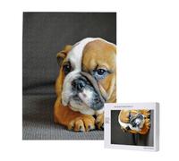 Kneeling English Bulldog,500 Pieces Wooden Jigsaw Family Game Jigsaw Puzzles for Adults Teens
