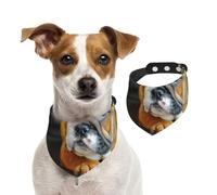 Kneeling English Bulldog,Dog Bandanas Cotton Pet Scarf Adjustable Bibs for Pet,M