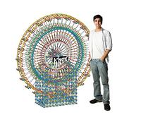 K'NEX | 6 Foot Ferris Wheel | Kids Building Set for Creative Play, Hours of Fun Making Giant ferris wheel, Suitable for Boys and Girls Ages 9+ | Basic Fun 89790