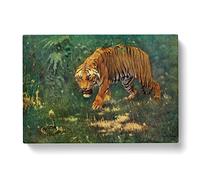Knight, Charles R. Tiger & Cobra Vintage Canvas Wall Art Print Ready to Hang, Framed Picture for Living Room Bedroom Home Office Décor, 50x35 cm (20x14 Inch)