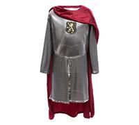 Knight disguise with cape Silver 9/10 years
