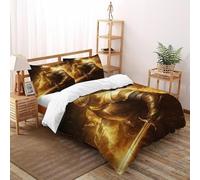 Knight Flame Bedding Set 3D Design Gothic Themes Duvet Cover Set 3 Pieces Microfiber Quilt Cover Suitable for Family,couple,children with Pillowcase Double(200x200cm)