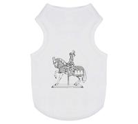 'Knight In Shining Armour' Pet Dog/Cat T-Shirt (PT00063219)