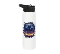 Knights in the Supernova Crystal Stainless Steel Insulated Water Bottle