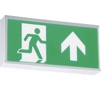 Knightsbridge LED Emergency Lighting, metal, 6 W, White, EMRUN