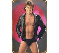 KNIOIL Vintage-Art Retro David Hasselhoff Retro Funny Metal Tin Sign Wall Art Poster Wall Signs For Bars Cafes Pubs Men Caves Wall Plates Wall Decor Gift 8x12 Inches