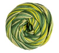 Knit Picks Dishie Multicolor Variegated Worsted Weight 100% Cotton Yarn - 100g (Plant Shop)
