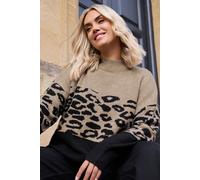 Yours Curve Leopard Colourblock Jumper - Women's - Plus Size Curve Brown