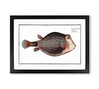 Knitted Trunk-Fish by M.E. Bloch Framed Print | A2 Black Framed Wall Art | Ready to Hang | Modern Animal Picture | Living Room Bedroom Lounge Office